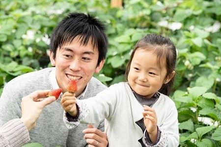 伊豆の国市いちご狩り共通券（1名様分）