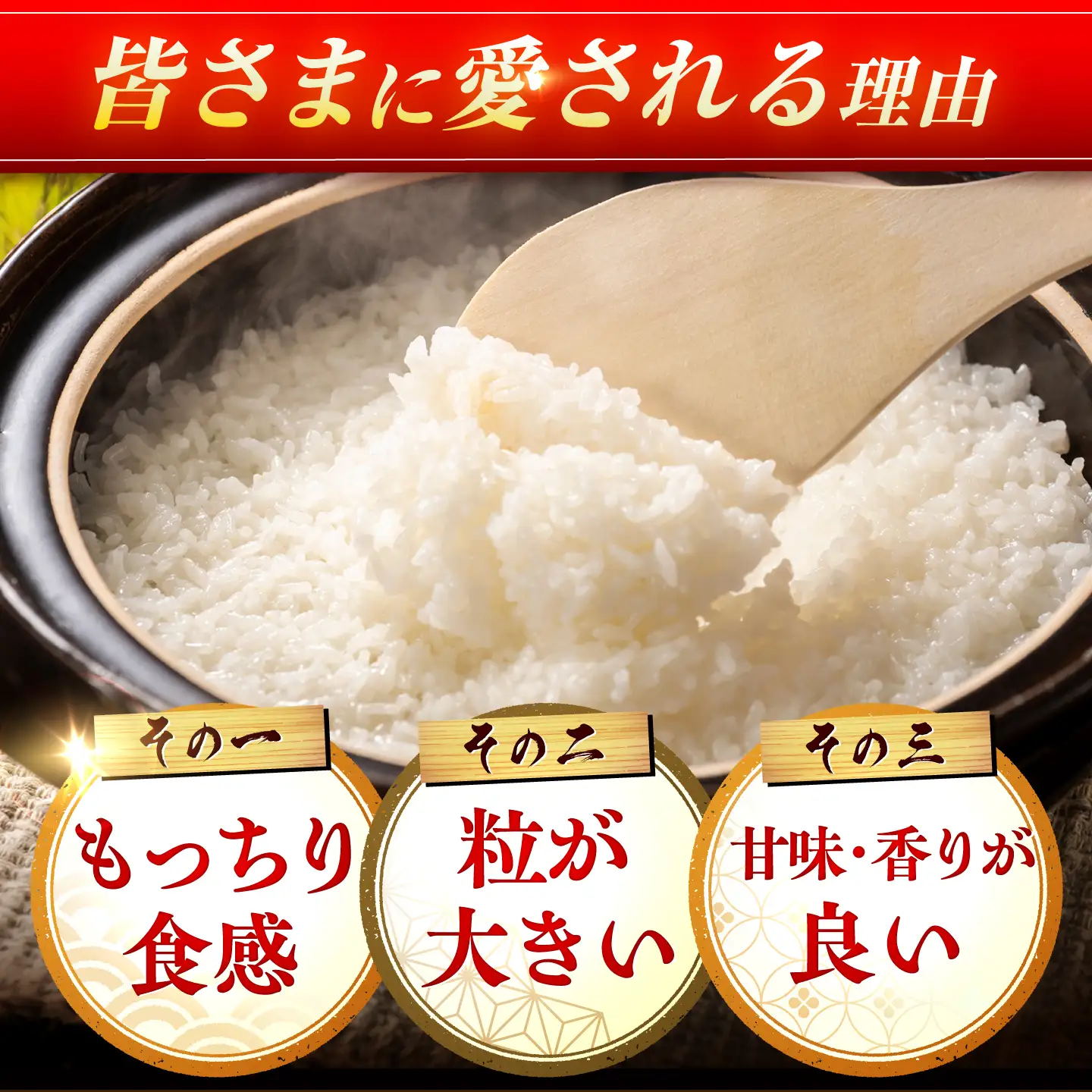 〈受付一時停止中〉【10kg×12回定期便】【令和5年産】さがびより 計120kg（5kg×2袋）吉野ヶ里町/増田米穀 白米 ブランド米 弁当 佐賀県産 令和5年産 新米 ご飯 ごはん 米 お米 弁当 おにぎり 国産 佐賀 ブランド ふっくら もちもち[FBM008]