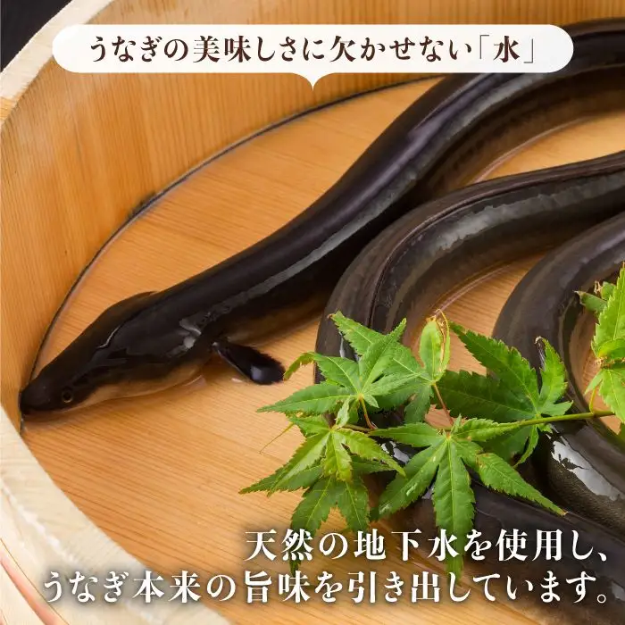 【6回定期便】国産うなぎ蒲焼 3枚セット [FAD007]