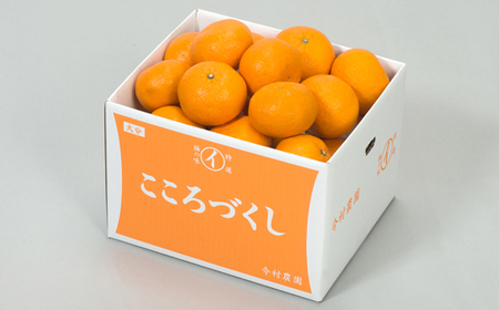 蔵姫 くらひめ (紅甘夏) 秀品 約4kg【今村農園】 果物 期間限定 数量限定 九州 大分県 ＜107-032＞