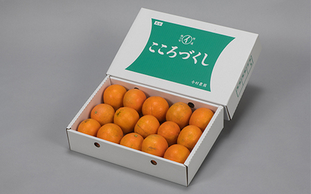 [訳あり 優品] 12月発送開始 おひさまきらりん 約3.5kg 【今村農園】 果物 みかん 期間限定 数量限定 九州 大分県 訳あり ＜107-019＞