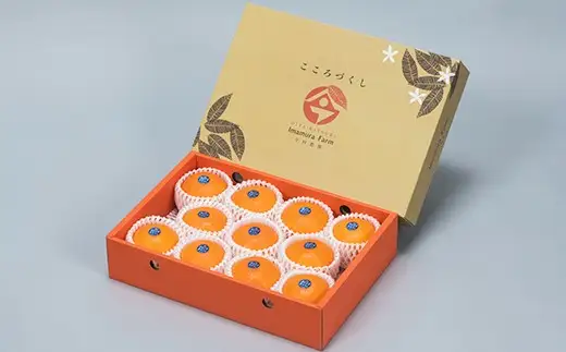 12月発送開始 おひさまきらりん 秀品 約2.5kg 【今村農園】 果物 みかん 期間限定 数量限定 九州 大分県 ＜107-024＞