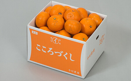 蔵姫 くらひめ (紅甘夏) (訳あり 優品) 約14kg 【今村農園】 果物 期間限定 数量限定 九州 大分県 訳あり ＜107-031＞