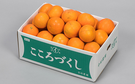 [訳あり 優品] 12月発送開始 おひさまきらりん 約20kg 【今村農園】 果物 みかん 期間限定 数量限定 九州 大分県 訳あり ＜107-022＞
