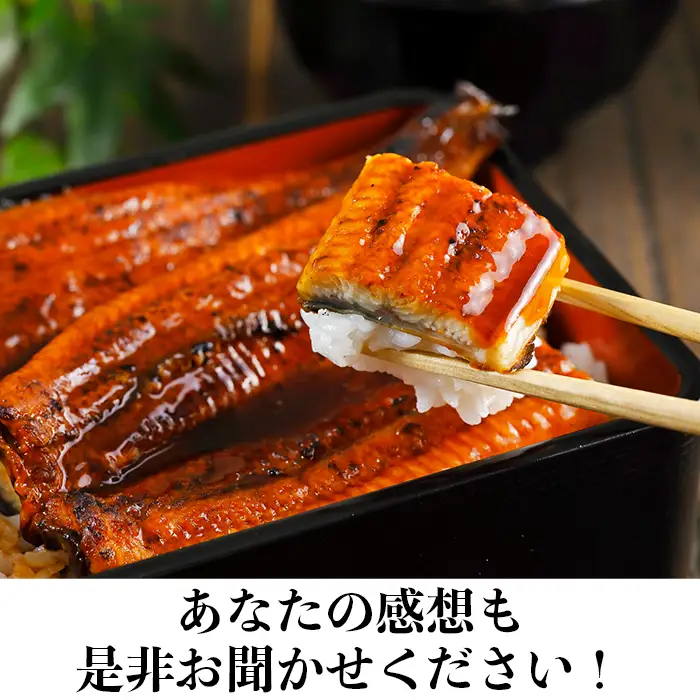 国産 温泉うなぎ 蒲焼 カット 70g×3【大分水産】 うなぎ 完全無投薬 九州 大分県 うな丼 うな重 冷凍 鰻 ギフト 受賞 食べきり 個包装 小分け スタミナ 夏バテ ＜104-002＞