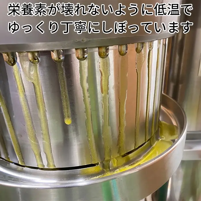 無農薬栽培 エゴマオイル (EGOMA OIL) 100g 【AMC】 国産 エキストラ バージン エクストラ えごま 油 オメガ3 九州 大分県 ＜143-005＞