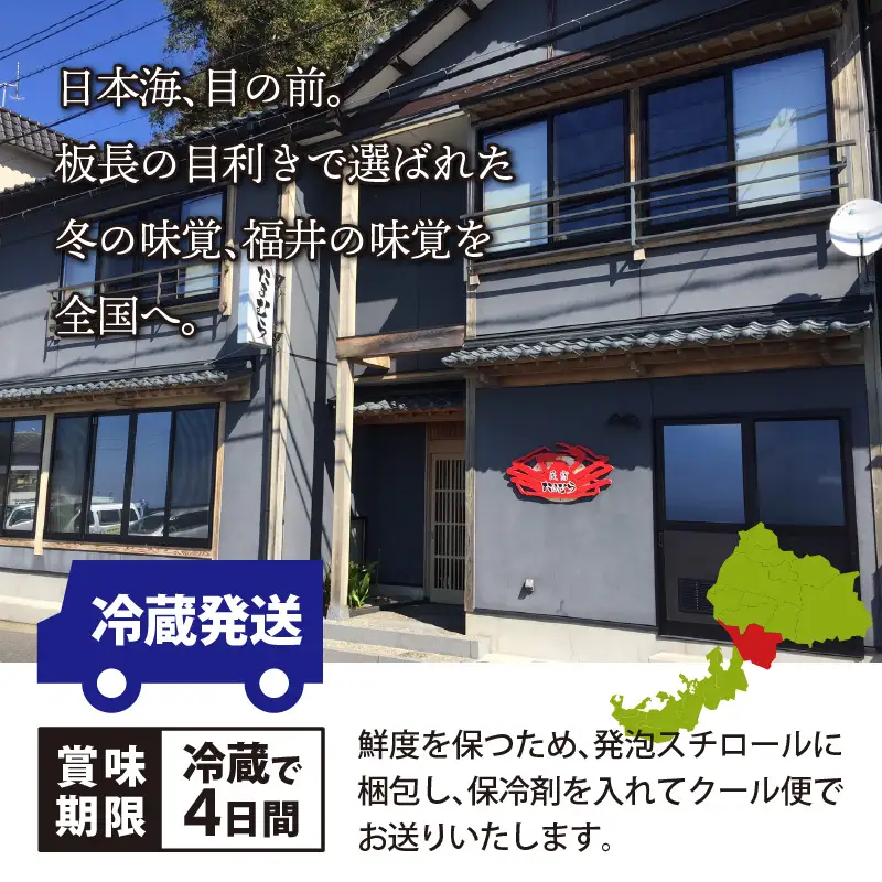【先行予約】越前がに 大 （約800g～900g） 2杯【2027年1月～3月発送】 日本海 直送