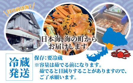 【先行予約】越前がに 大 (約1.1kg以上)×1杯【11月～12月発送】日本海 直送
