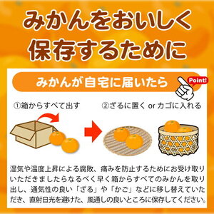 【2027年先行予約】紀州和歌山 ハウスみかん 2.5kg 赤秀品_G6029