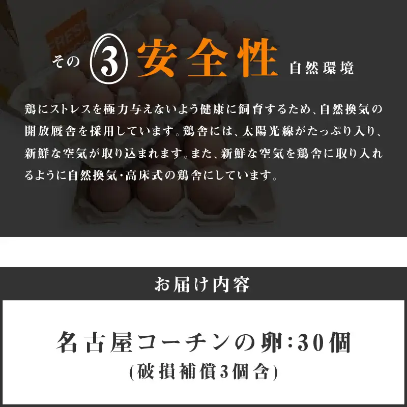 名古屋コーチン卵（30個入り) 日本三大地鶏 小牧市発祥[006K01]