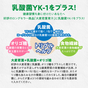 【乳酸菌プラス】山本漢方の大麦若葉粉末(60スティック入り) [027Y05]