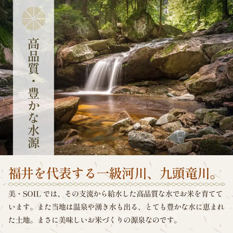 【令和8年産】特別栽培米 あきさかり 10kg 無洗米 低農薬 《こだわり極上無洗米》  / 福井県 あわら 北陸 米 お米 人気 [aw032-b009]