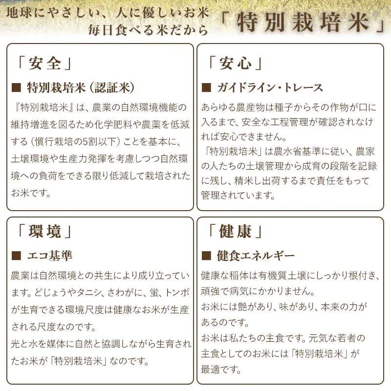 【令和8年産 新米】 米の里の特別栽培米 つや姫 精米 5kg　山形県鶴岡市産 | 白米 特栽 ブランド米 庄内 2026年産　K-845