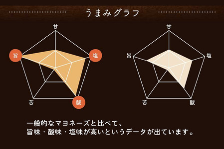 【累計6万本突破！】卵黄で作ったこだわりのマヨネーズ10本　015AC01N.／ママのこだわり卵 卵 たまご 大容量 栄養満点 調味料 お料理 安心 安全 健康 玉子 サラダ ディップ ポテトサラダ 