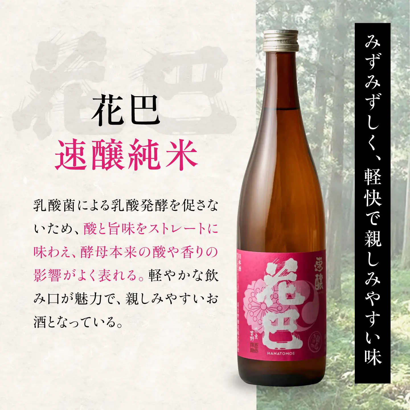 日本酒 花巴 飲み比べ 300ml×3本 [BRAG004]