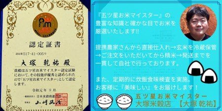 CID46_【６回定期便】 さがびより【玄米】５kg 【五つ星お米マイスター厳選！】
