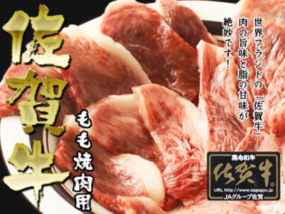 BN047_ふるさと納税　訳あり　定期便　100万コース（佐賀牛サーロインステーキ、味付け厚切り牛タン、味付けホルモン、佐賀牛ハンバーグ等々、贅沢12回定期便）
