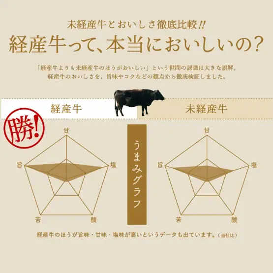 但馬牛経産牛「サーロインステーキ」200ｇ×3枚　020AA02N.／黒毛和牛 ステーキ肉 いちかわ精肉店 経産牛 牛肉 国産 bbq バーベキュー 焼肉 ステーキ サーロイン 赤身 肉 冷凍 焼き肉用