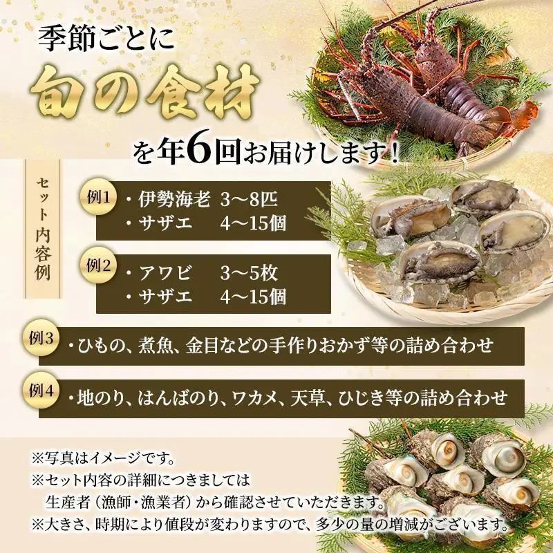 海鮮セット 年6回 定期便 アワビ 伊勢海老 海藻 海鮮セット
