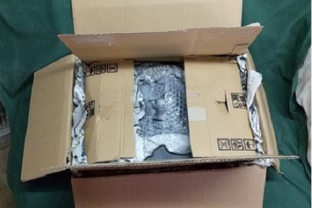 伝統工芸士の鬼師が作る守護鬼瓦シリーズ 疫病退散 守護鬼面プレート（大） H064-018