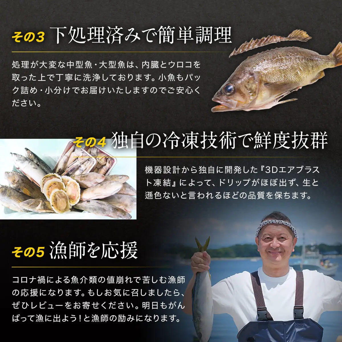 北海道 冷凍鮮魚セット 最大4.5kg 下処理済み 4～5種 ホタテが必ず入る 魚 詰め合わせ 訳あり