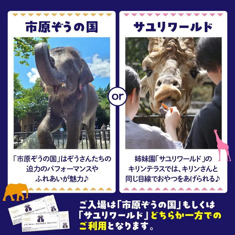 入園チケット 市原 ゾウの国 ペア 招待券 市原市 入場券 チケット