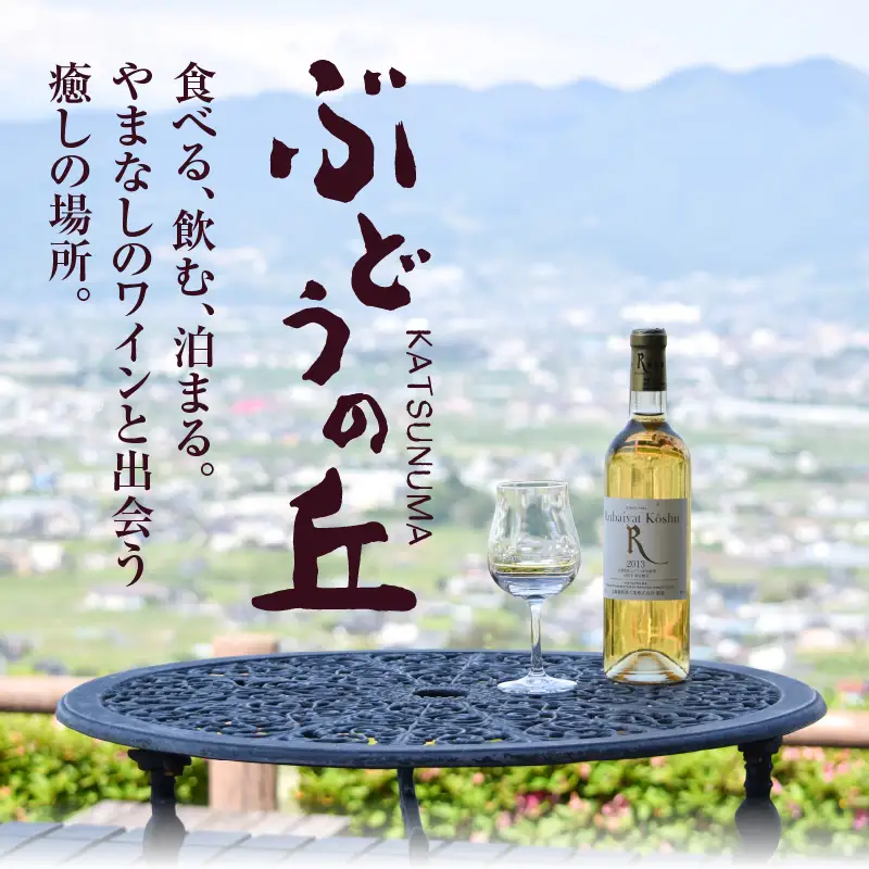 ワイン 大和葡萄酒「重畳」(スパークリングワイン・辛口)　（KBO）B-670