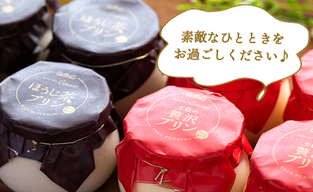 プリン2種 合計12個(卵・ほうじ茶)【プリン プリン プリン プリン プリン プリン】 kn-0043