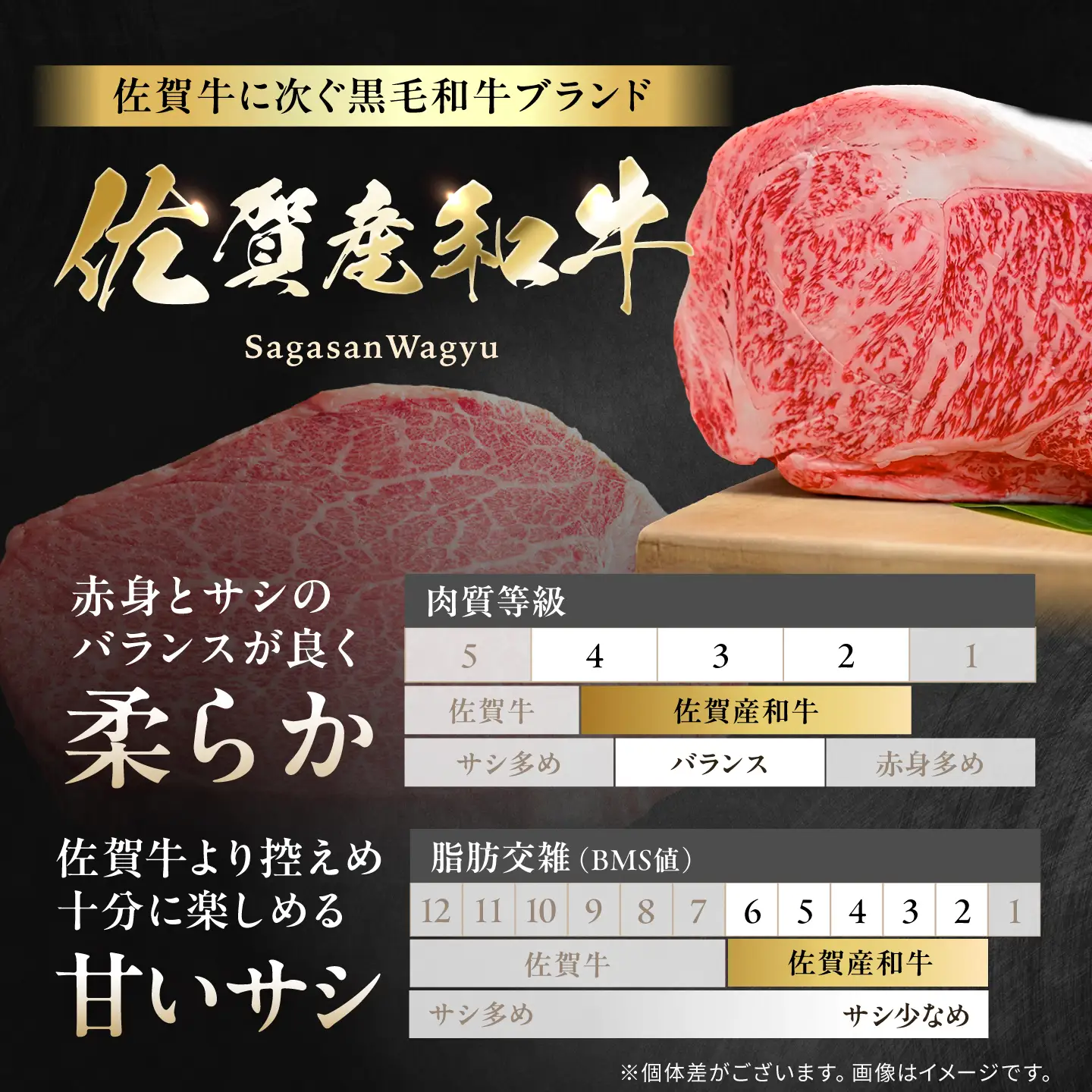 佐賀産和牛 牛肉切り落とし 1kg 牛肉切り落とし[FBX001]