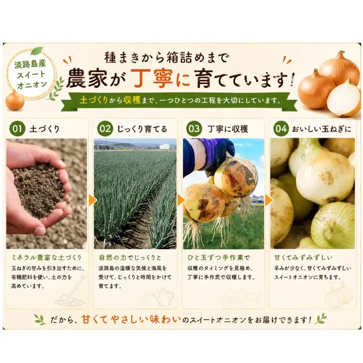 淡路島スイートオニオン 淡路島産玉ねぎ　2.5kg
