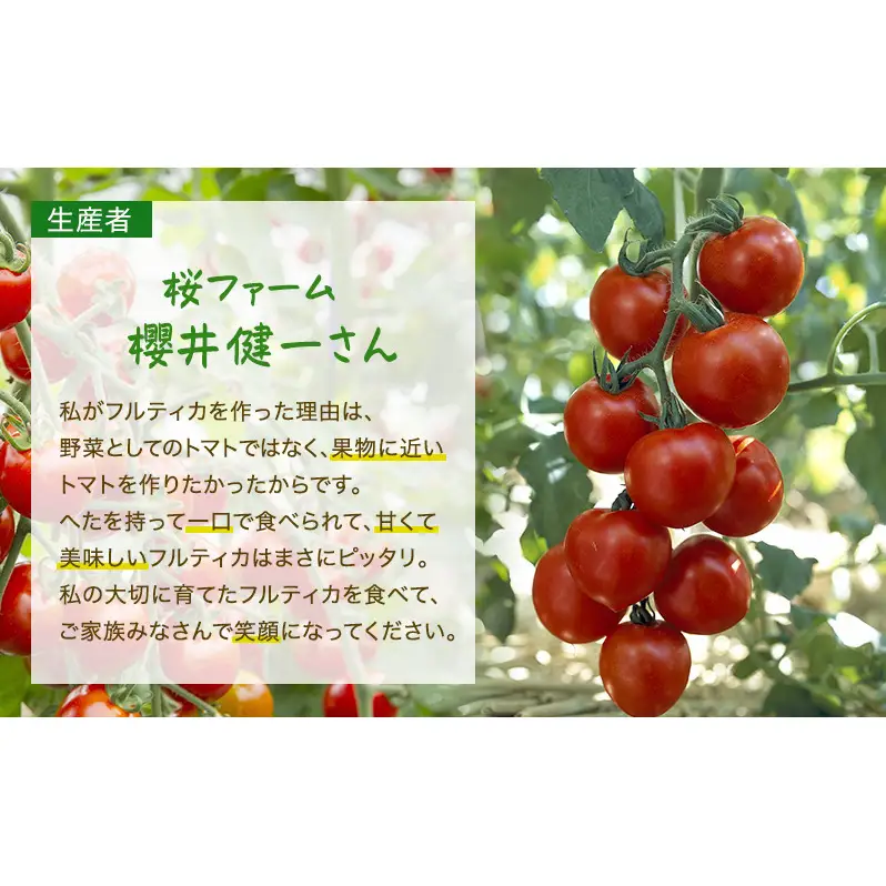 トマト 中玉 フルティカ 樹上完熟 農家直送 トマト【1.5kg】