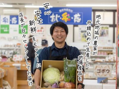 野菜 果物 加工品 6～8種 詰め合わせ セット フルーツ 乾燥 旬 旬の野菜 旬のフルーツ 季節の野菜 季節のフルーツ 季節の果物 産地直送 お楽しみ袋 青森 青森県 鰺ヶ沢町世界自然遺産 白神山地のまちから お楽しみ 冷蔵 冷蔵配送