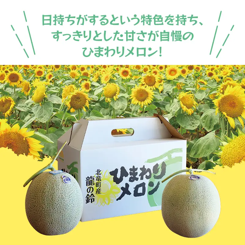 令和8年産 【赤肉】ひまわり メロン 2玉 ※9月中旬から10月中旬に順次発送 2玉 1箱 【sun514-aka-2A】