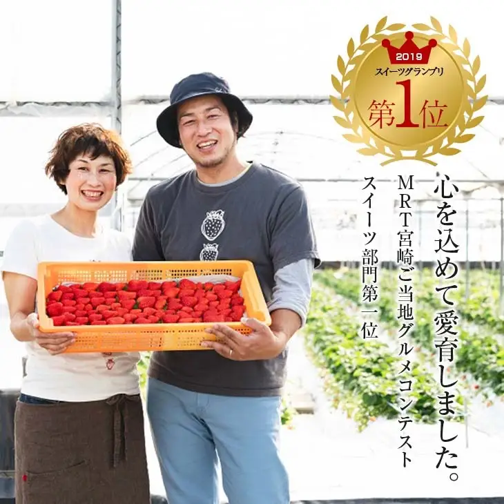 【ふるなびWEEK対象】グランプリ受賞 数量限定 冷凍いちご シロップ付 計1kg+170g 【クラッシュタイプ】_BA104-26