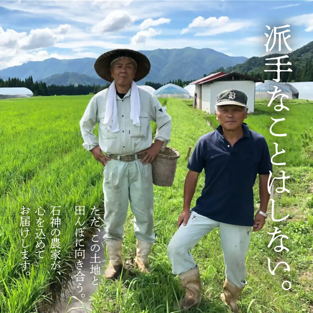 令和8年産 米 石神米 コシヒカリ5kg / 新米 米 コシヒカリ