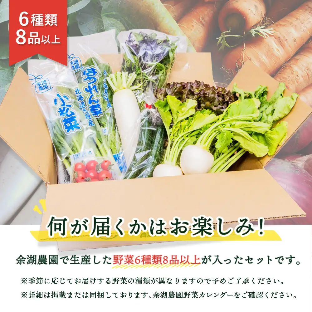 北海道産季節の野菜詰め合わせ 6種類8品【31000503】