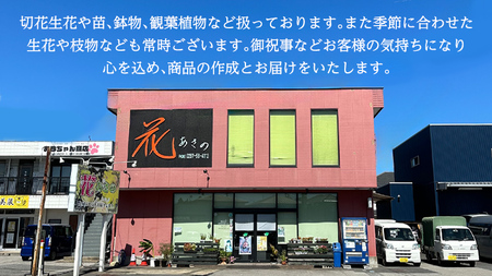 季節の寄せかご（大）