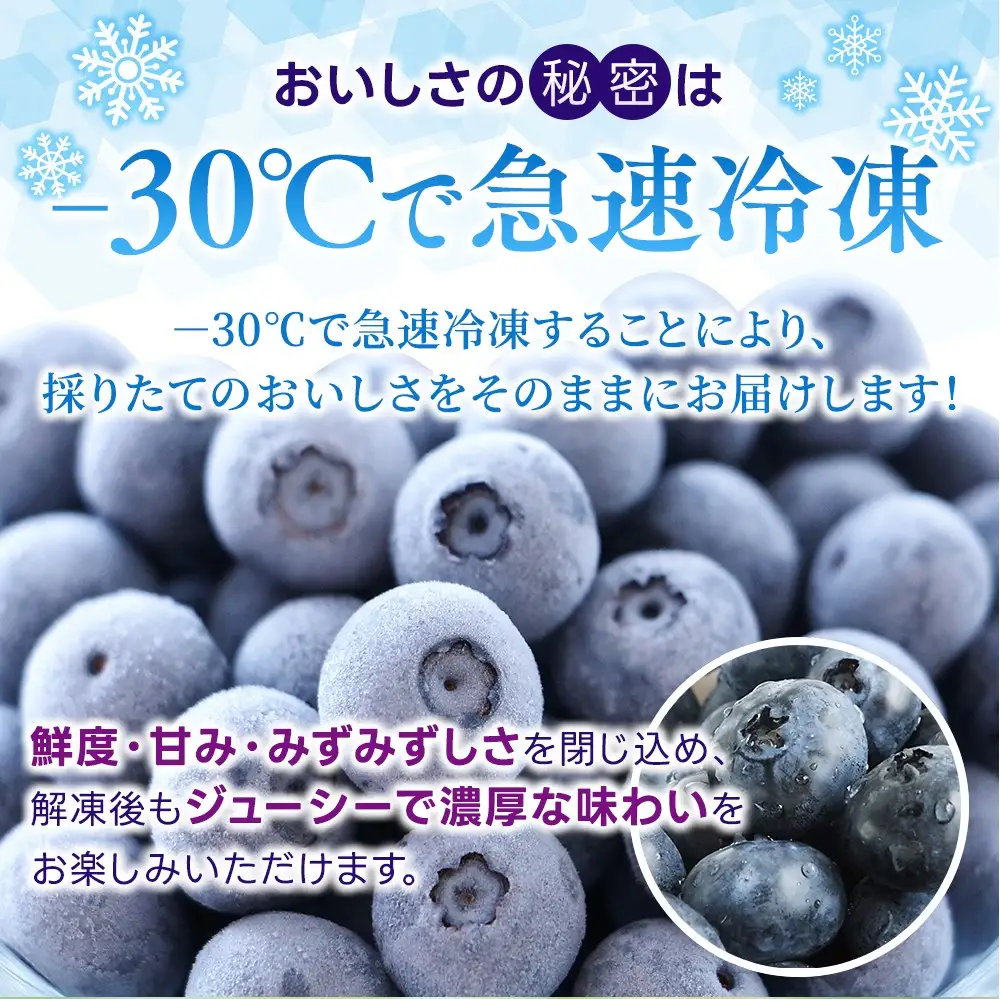 冷凍 ブルーベリー 1kg  金山パイロットファーム ベリー【knpr0009A】