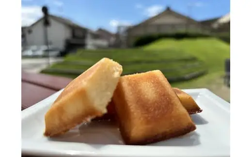 第27回全国菓子大博覧会・三重褒賞にて優秀金菓賞！【zakuフィナンシェ8個入り】2箱　大人のおいしさ【kmkn0094】