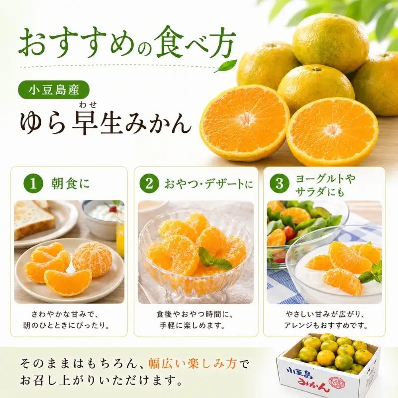みかん 柑橘 ゆら早生 小豆島産 みかん【約5kg】