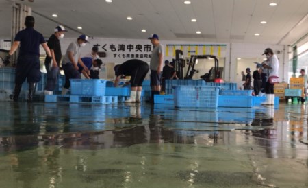 旬の地魚（3種）お造りセット（3-4人前） 刺身
