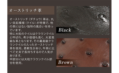 ビジネスシューズ オーストリッチ革 5cmアップ ブラウン ビジネスシューズ【No.65】 26.5cm