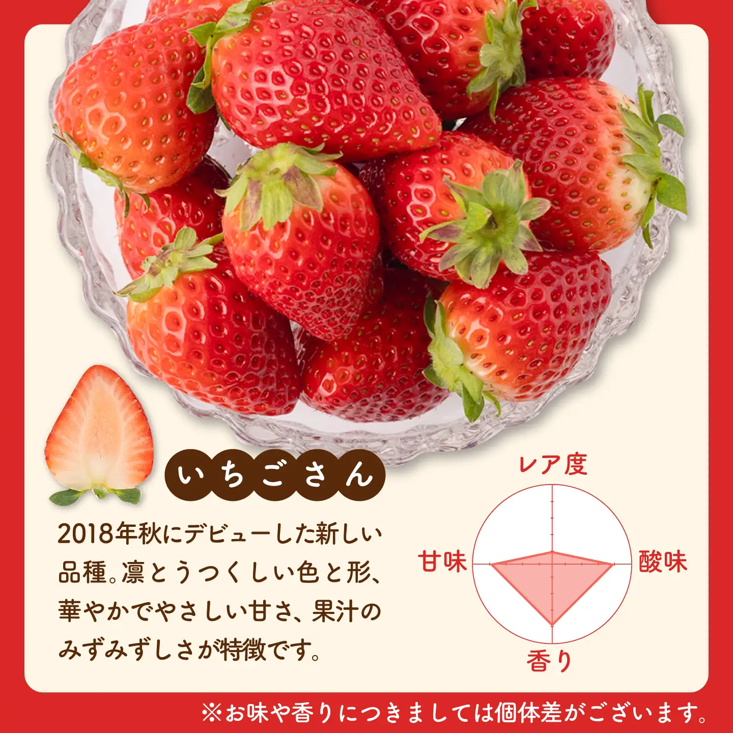 【先行予約 2027年1月～発送】赤白いちご「いちごさん」240g＆「パールホワイト」220gセット / いちご IBG002