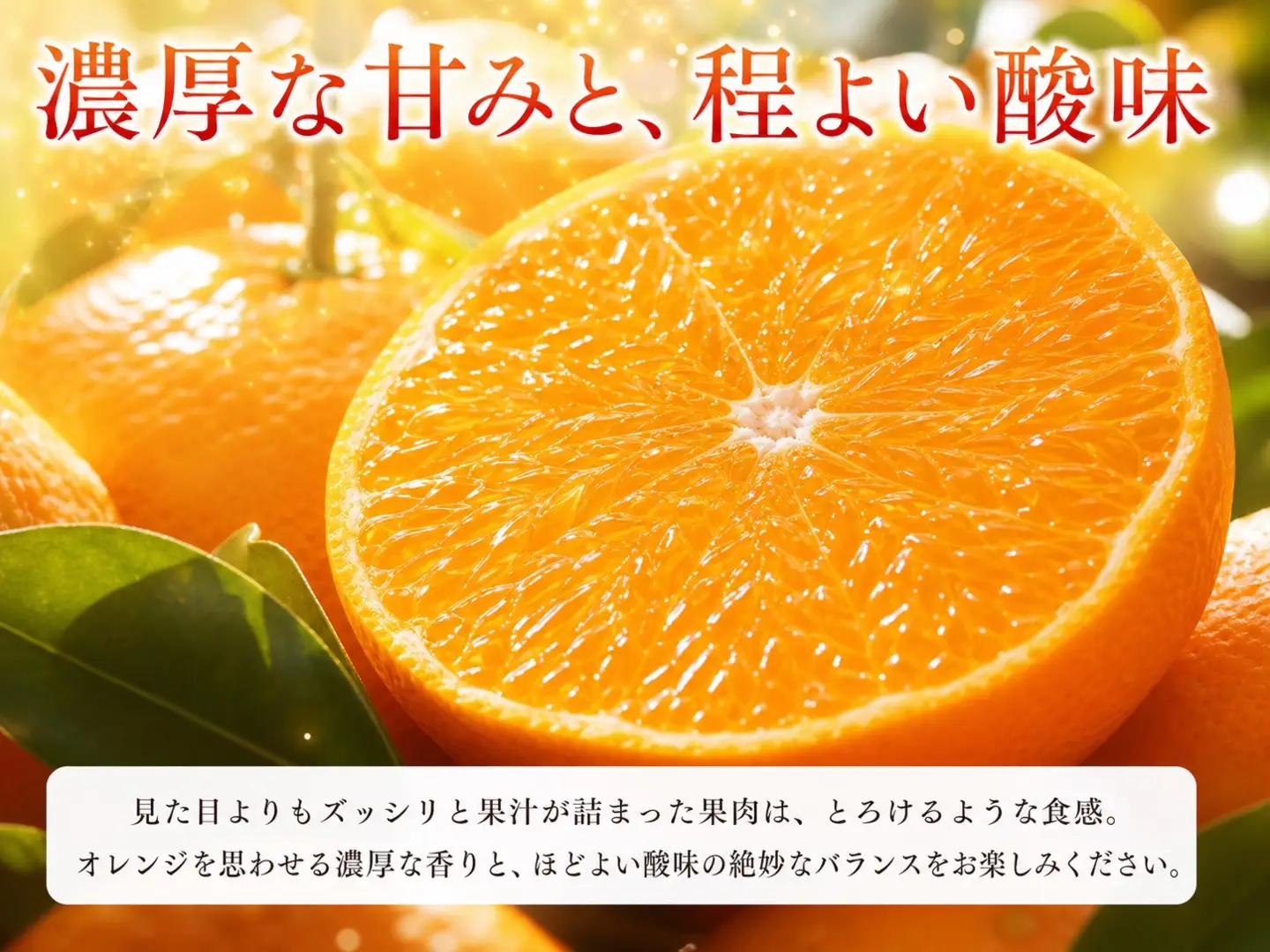 とろける食感!ジューシー柑橘 せとか 約3kg｜みかん ミカン 柑橘 果物 くだもの フルーツ せとか 甘い 先行予約 国産 産地直送 人気 美浜町
