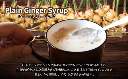 小豆島ジンジャー&ダイダイレモンシロップ3本セット