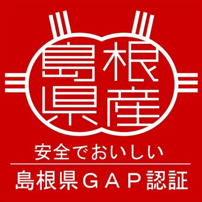 アスパラガス（約１ｋｇ）【季節限定 アスパラガス アスパラ 約1kg 20～40本 美味しまね認証 安心 安全 甘い とろける 初夏 野菜 初夏 塩ゆで 肉巻き おかず 期間限定 5月～9月上旬発送】