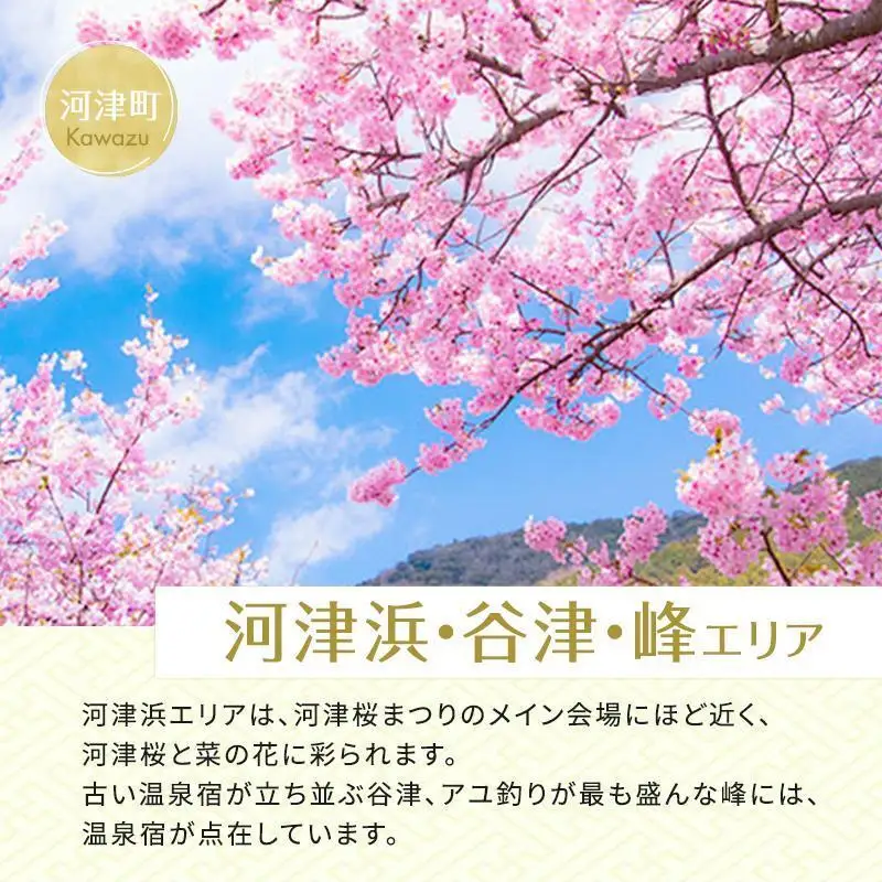 宿泊券 たっぷり河津旅 15000円分 ホテル 旅館 宿泊券