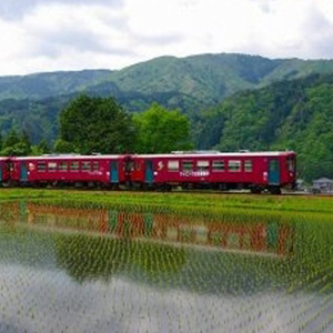 長良川鉄道 全線 1日フリー 乗車証 