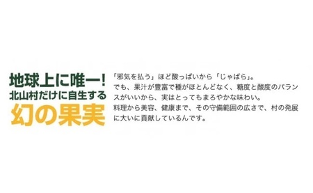 じゃばらポン酢  360ml×3本 じゃぽん花粉対策の蛇腹 ジャバラ 化学調味料・防腐剤不使用_V7160