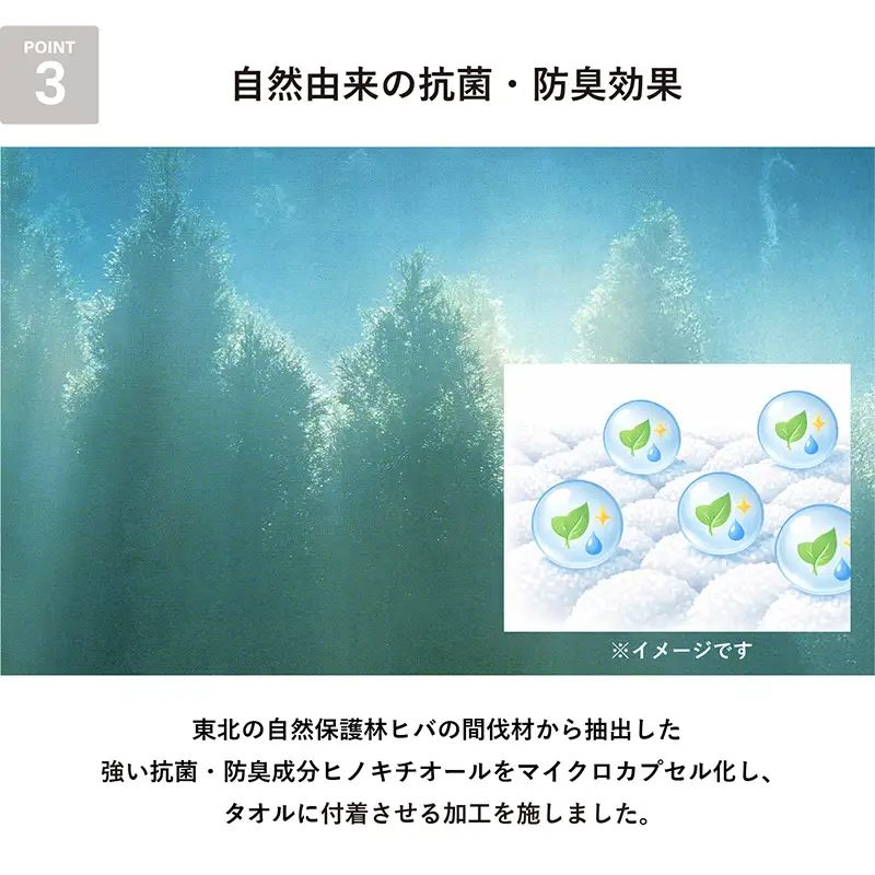 まごころ手ふきん（抗菌仕様）6枚 アソート